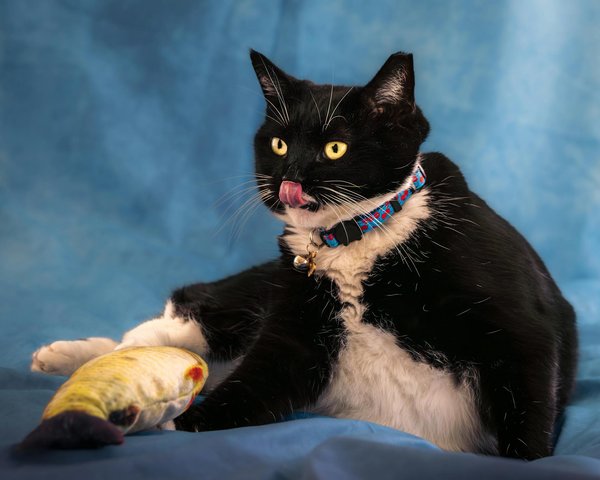 Wie kann man kleine Räume größer wirken lassen?